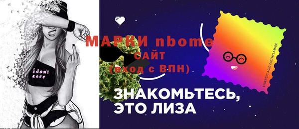 дмт Богданович